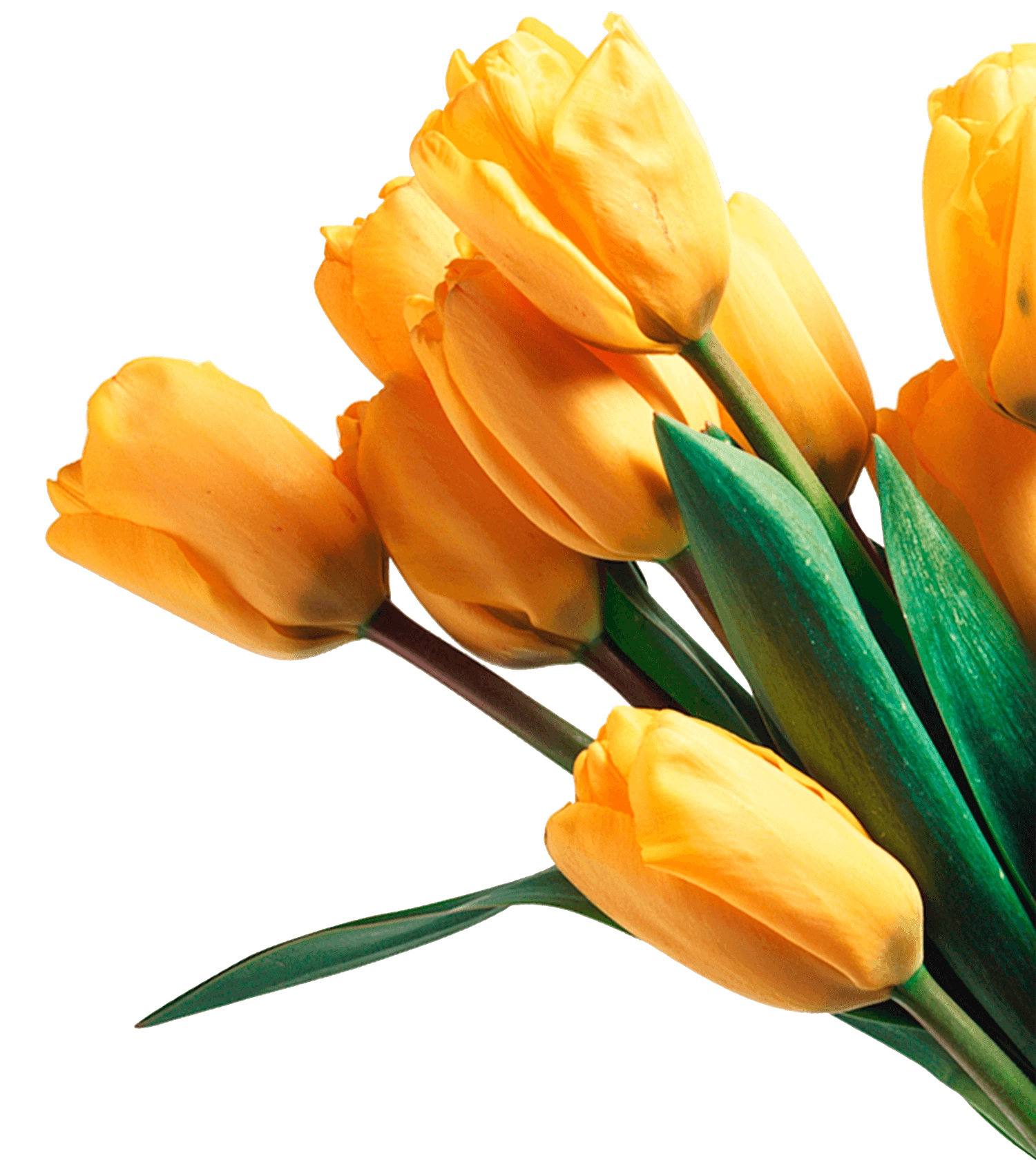 💐
